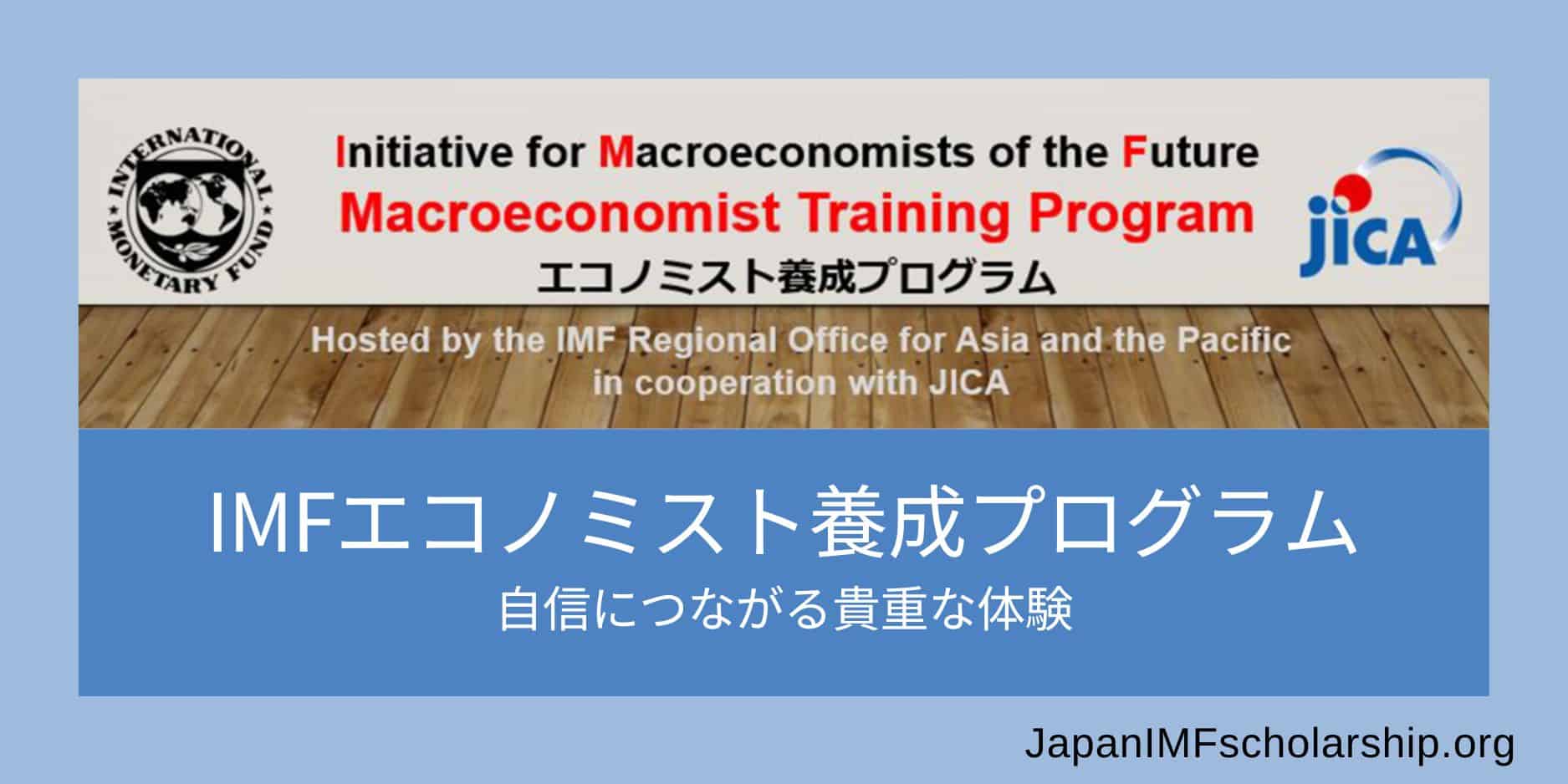 imf macroeconomist training program